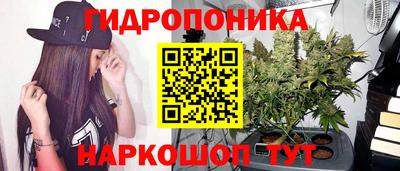 ПСИЛОЦИБИНОВЫЕ ГРИБЫ Кулебаки